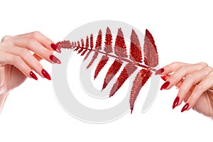 Bright festive red manicure on female hands. Nails design