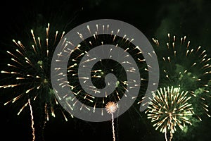 Bright fireworks with a green glowing center with green sparks and smoke, against the background of the night sky