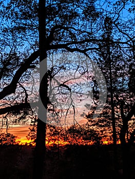 Bright firey sunset sky