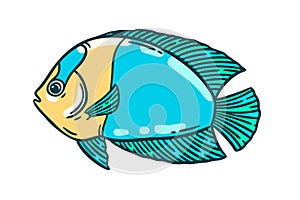 Bright fish hand drawn illustration isolated over white