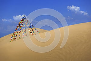 Bright flags in the desert