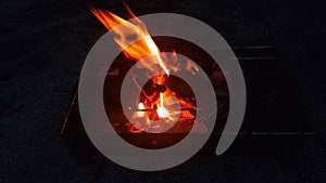 Bright Flame of Fire Burning Dry Leaves at Night.