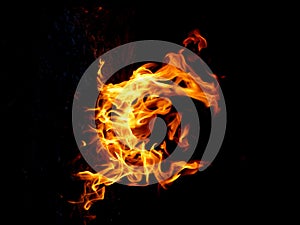 Bright flame of the firecamp