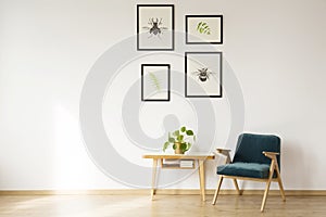 Bright flat interior with artwork photo