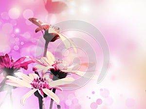Bright floral background