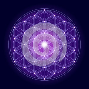 Bright Flower of Life With Stars