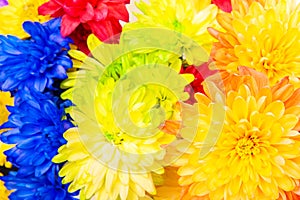 Bright flowers background