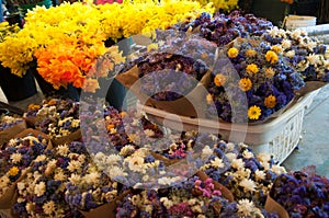 Bright Flowers with Beautiful Color at a Market.