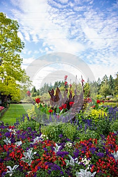 Bright flowers in Butchart Gardens, Victoria, BC, Canada