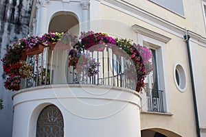 Bright flowers in pots on round balcony of white building. House facade decorated with flowerpots.