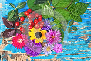 Bright Flowers of top view on blue wooden background