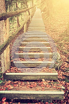 Bright Foliage on Vintage Stairway