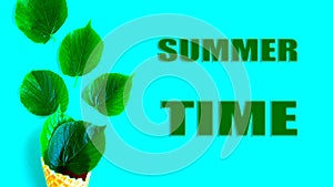 Bright fresh green leafs in waffle cone on bright blue background and the text - Summer Time.