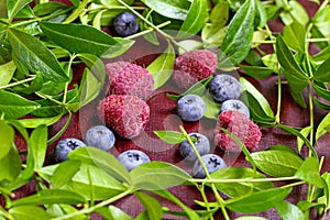 Bright fresh juicy red raspberries and blue blueberries with green leaves on wooden background.