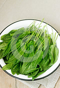 Bright fresh leaves of sorrel in a bowl of water. Rustic style.