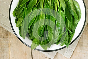 Bright fresh leaves of sorrel in a bowl of water. Rustic style.