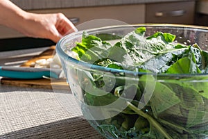 Bright fresh leaves of sorrel in a glass bowl. Rustic style.