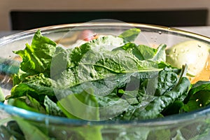 Bright fresh leaves of sorrel in a glass bowl. Rustic style.