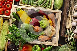 Bright and fresh organic vegetables on counter in wooden boxes