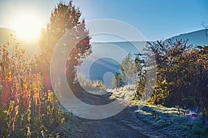 Bright frosty morning in late autumn. First frost on plants