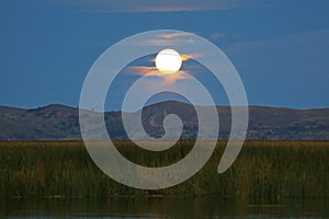 Bright full moon shining over Totora reeds on Lake Titicaca, Peru