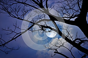 Bright full moon and white clouds in the night