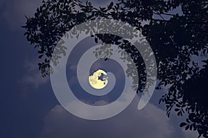 Bright full moon and white clouds in the night