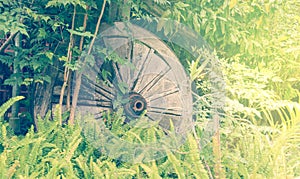 Bright Garden backdround with Buddism Wheel.