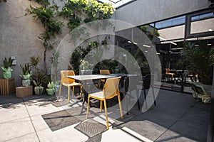 Bright garden furniture and plants on cozy terrace with wooden floor and brick wall. Interior of a summer terrace of a