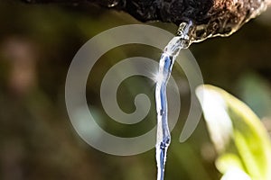 Bright Glint of Sunlight Reflecting from a Thin Stream of Water