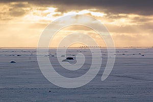 Bright golden winter sunset on frosen ice covered shore with sunbeams in stormy sky and dark blue ice, empty simple north.