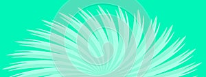 Bright green abstract background with rays swirl sunshine texture pattern wallpaper vector illustration graphic design modern