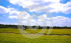 Bright green agriculture farmland