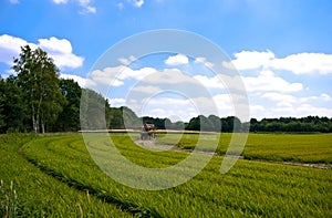 Bright green agriculture farmland with tractor spr