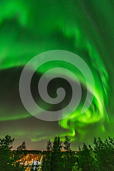 Bright green aurora lights almost on the whole sky over tree tops in Sweden, river, city lights and lake, clear skies with a lot