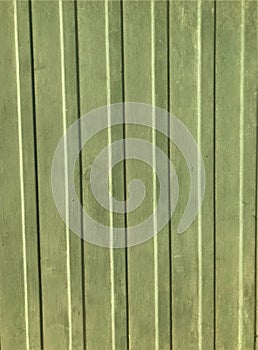 Bright green background fence strips