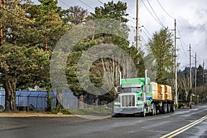 Bright green classic big rig semi truck tractor with two loaded by lumber flat bed semi trailers standing on the road preparing