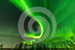 Bright green curly like long tale aurora lights through the whole sky over tree tops in Sweden, river, city lights and lake, clear