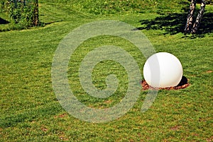 Bright green grass background. Fresh green grass field