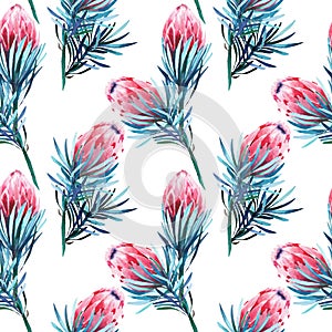 Bright green herbal tropical wonderful floral summer pattern of a pink protea flowers watercolor