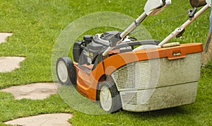 A bright green lawn being mowed with a basket mower.