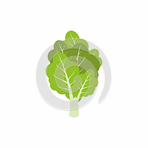 Bright green lettuce leaves. Vegetarian nutrition isolated on white background. Fresh and healthy vegetable concept. Flat cartoon