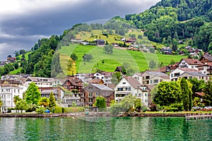 Bright green meadow and housing clusters appear above Lake Geneva