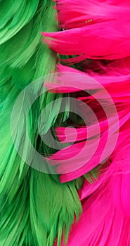 Bright green and shocking pink feather sparkling colourful background and texture