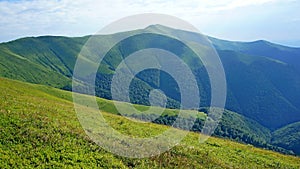 bright green slopes of the mountain range are covered with fresh green grass  alpine bushes  and forest. mountain landscape