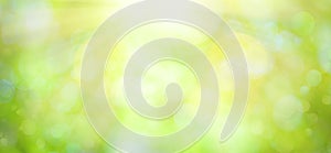 Bright green spring or summer blurred background