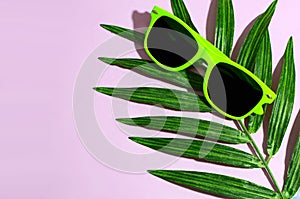 Bright green sunglasses laying on a silk palm frond