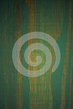 Bright green wood structure as a background texture vignette