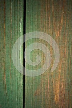 Bright green wood structure as a background texture vignette