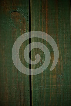 Bright green wood structure as a background texture vignette